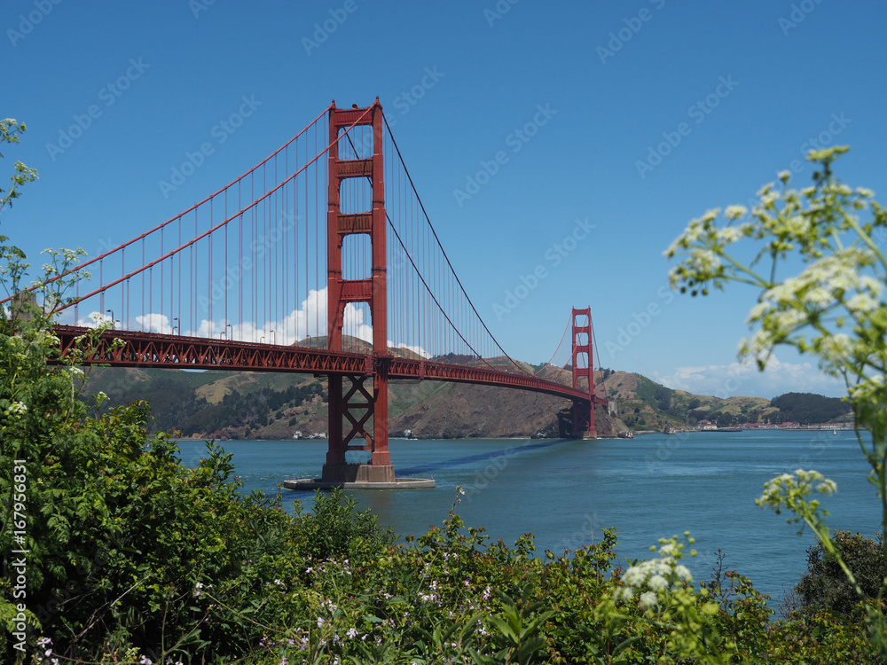 Beautiful view of Golden Gate Bridge Beautiful view of Golden Gate Bridge
