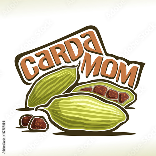 Vector logo for Cardamom: green pods with brown seeds of cardamon, label with title text - cardamom on white, ingredient for indian drink masala tea, elaichi or elettaria cardamomum for essential oil.