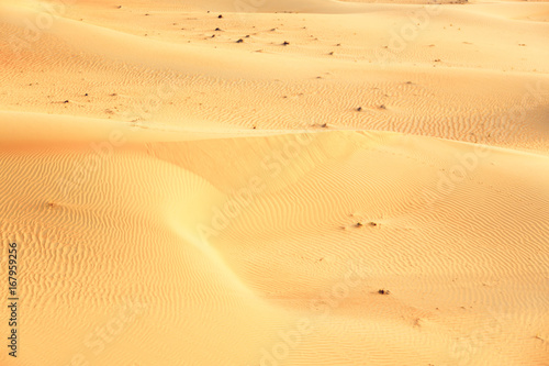 Fototapeta Naklejka Na Ścianę i Meble -  Sand Dunes