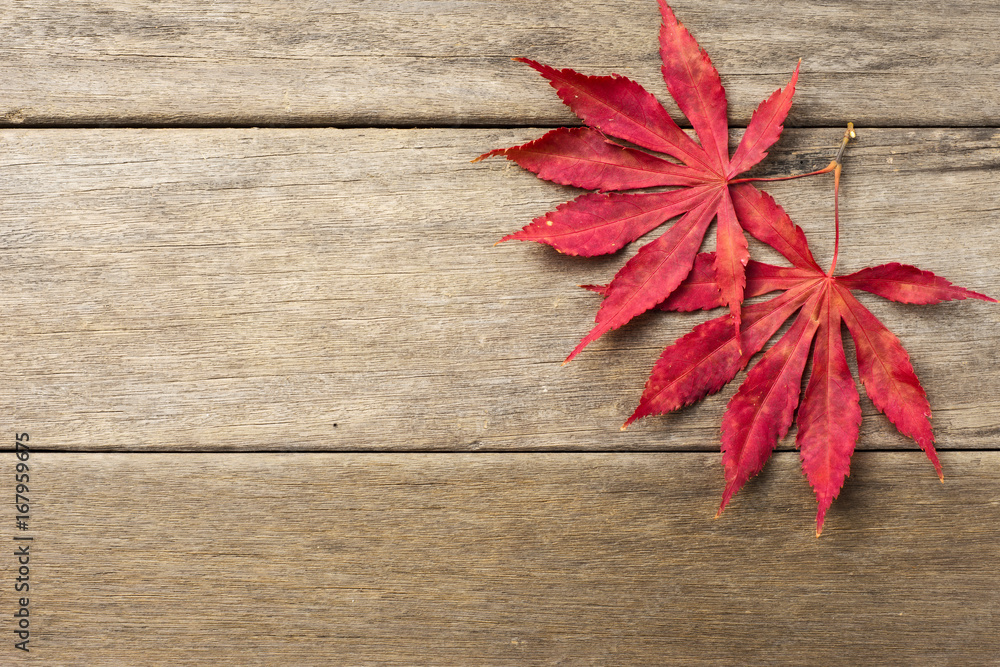 Fototapeta premium autumn background of fall leaves on the wooden board, top view;