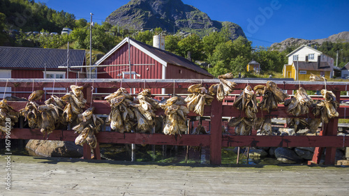 Stockfisch