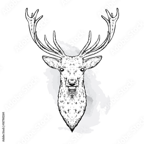 A beautiful deer. Vector illustration for a postcard or a poster, print for clothes. Fashion & Style.