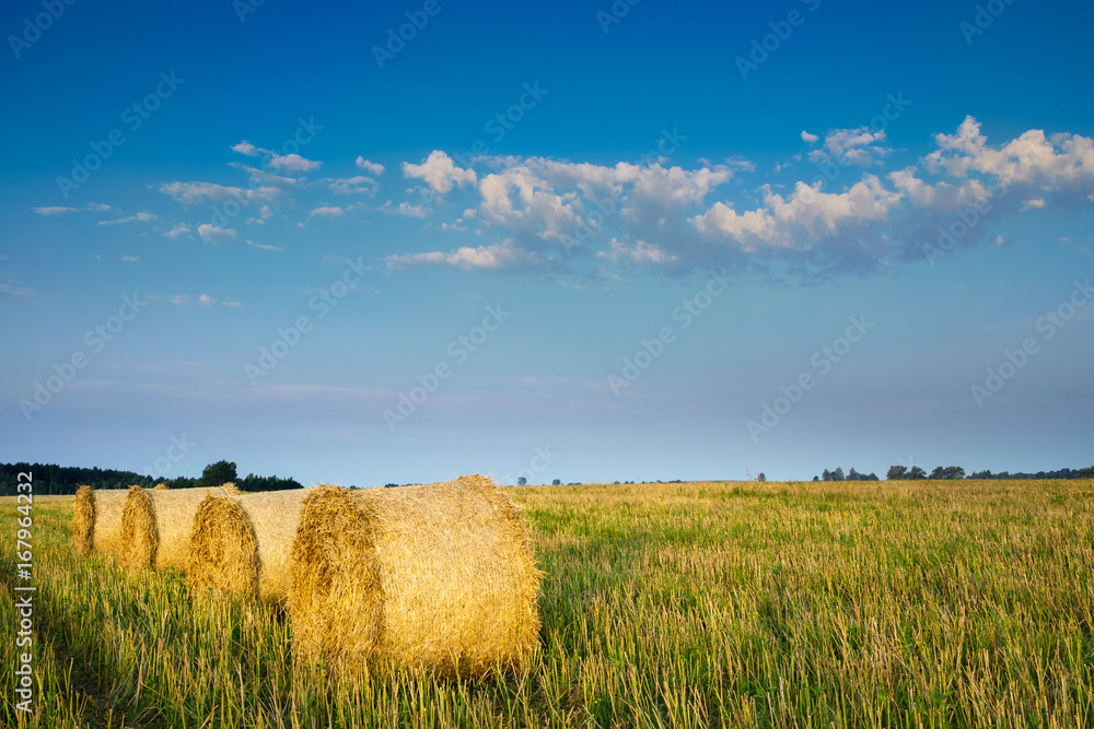 Haystack on a field of stubble. August countryside landscape. Masuria, Poland.