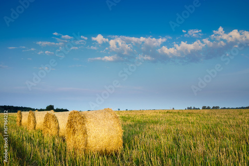 Haystack on a field of stubble. August countryside landscape. Masuria, Poland.