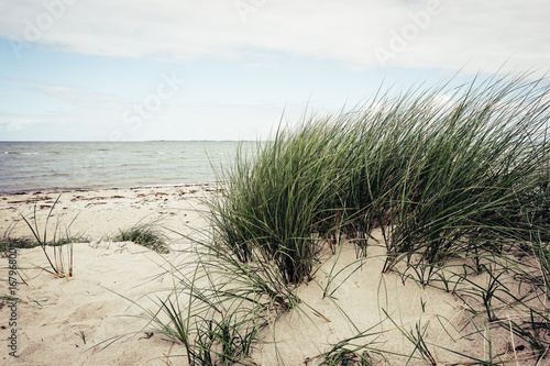 Fototapeta Naklejka Na Ścianę i Meble -  dunes baltic sea