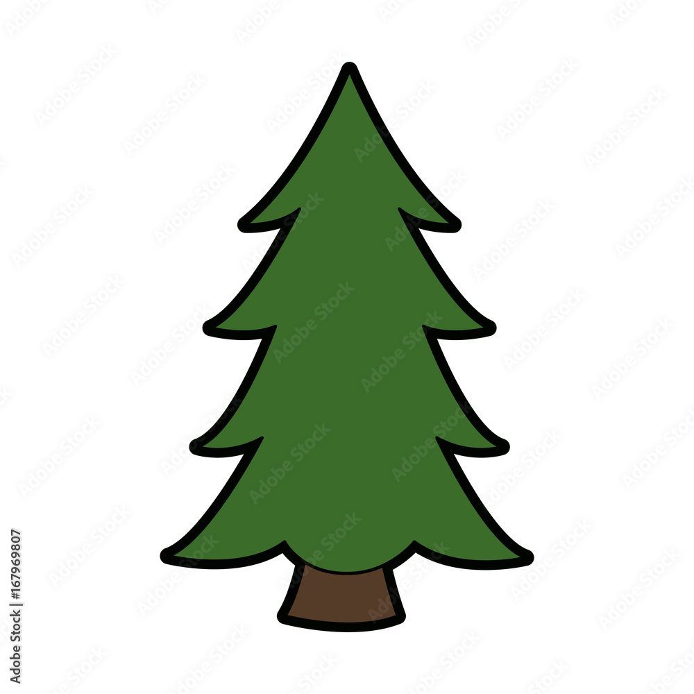 pine tree plant national forest nature switzerland vector illustration