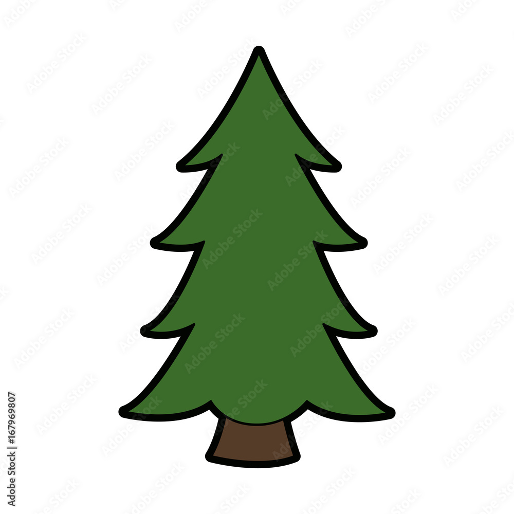 pine tree plant national forest nature switzerland vector illustration pine tree plant national forest nature switzerland vector illustration
