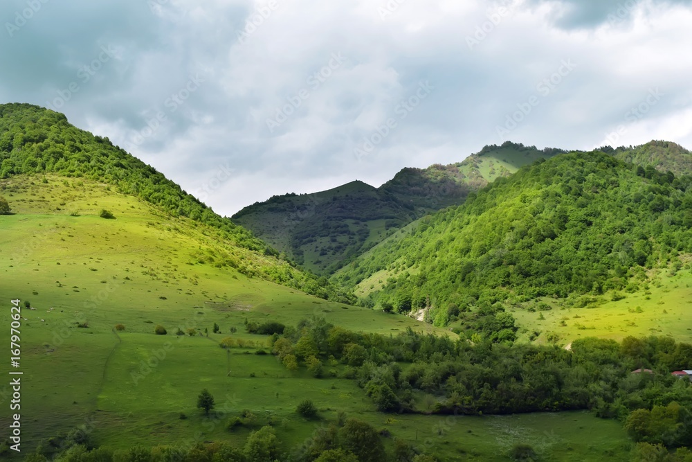 summer mountains green grass and blue sky landscape summer mountains green grass and blue sky landscape