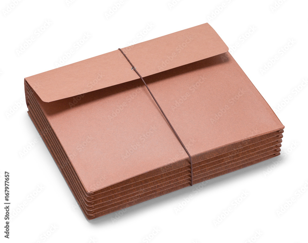 File Folder Expandable Flat