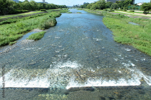 京都　鴨川のせせらぎ