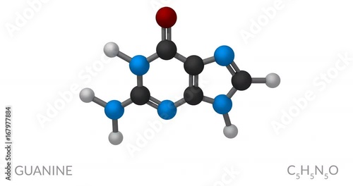 Guanine molecule, rotating seamless loop, 3d animation, 4k 30fps photo