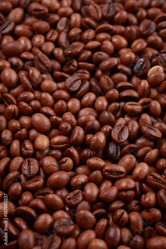 Fresh Roasted Coffee Beans Background