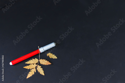 Close-up of pen, red color, autumn yellow leaves, black background. Place for text, concept of starting school, back to school, education