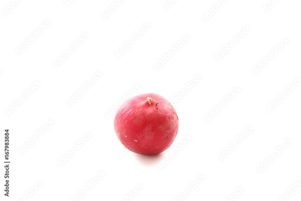 Radish vegetable isolated in white background Radish vegetable isolated in white background