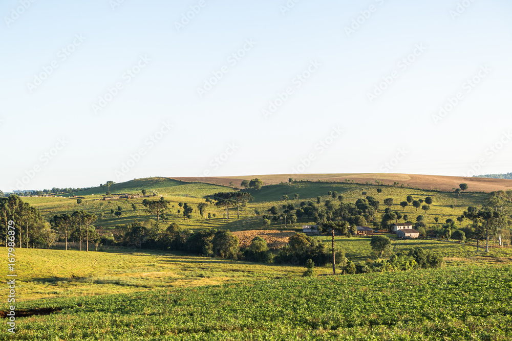 Agricultura - Sul do Brasil