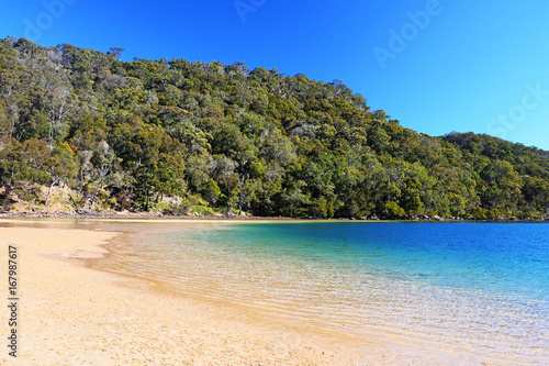 Ku-ring-gai chase national park