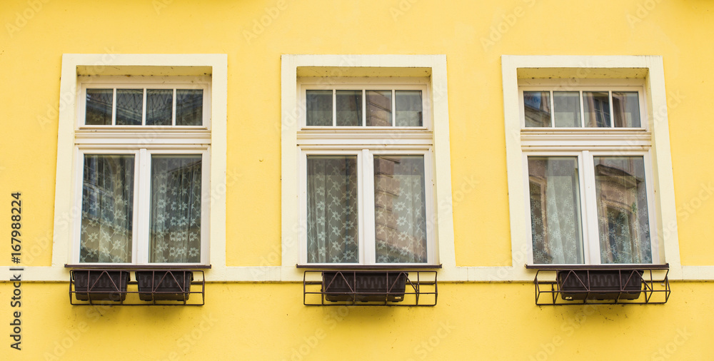 Fototapeta premium windows with flower pots