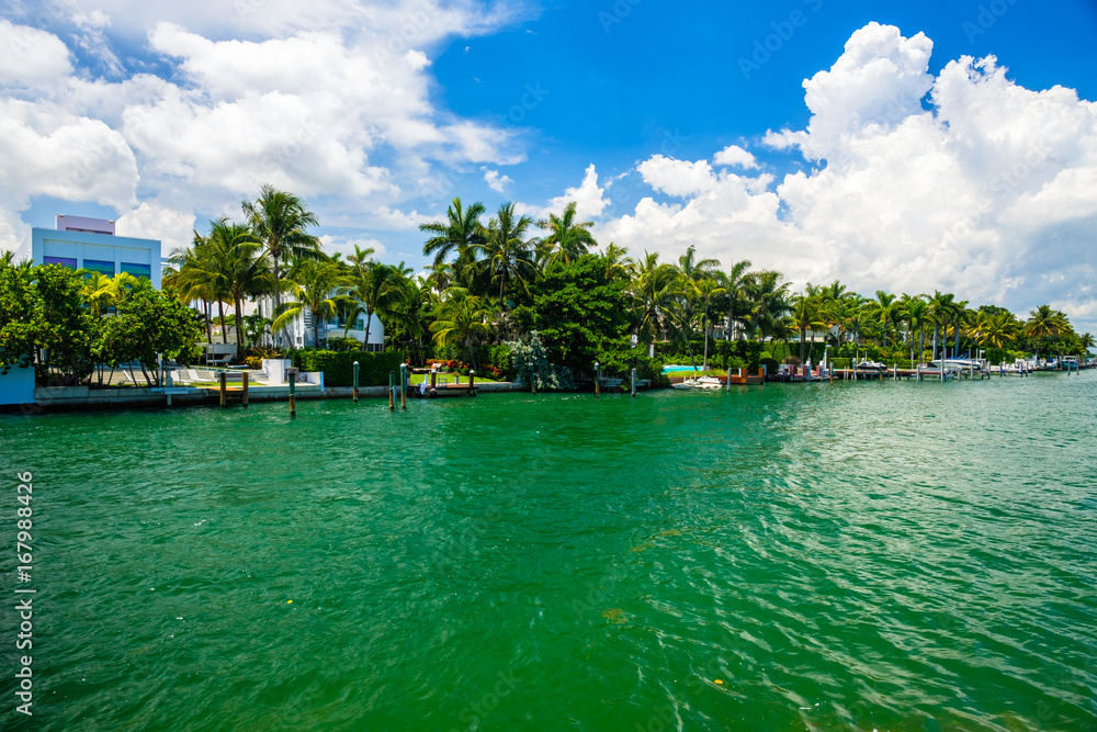 Miami Beach Cityscape