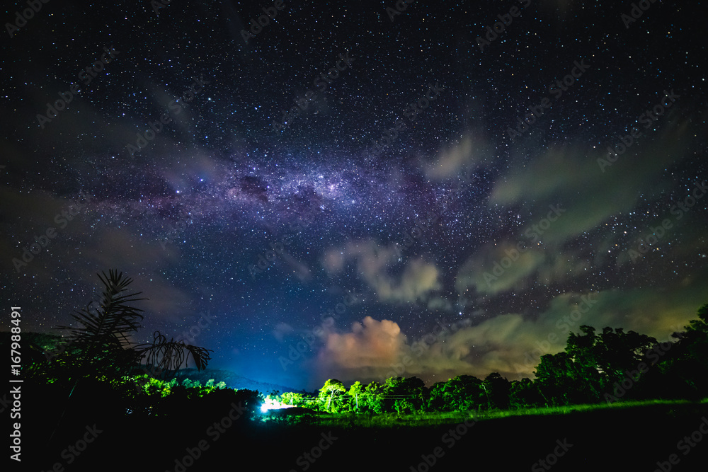 Fototapeta premium Blue night starry sky above countryside and Green field. Night view of natural Milky Way glowing stars.