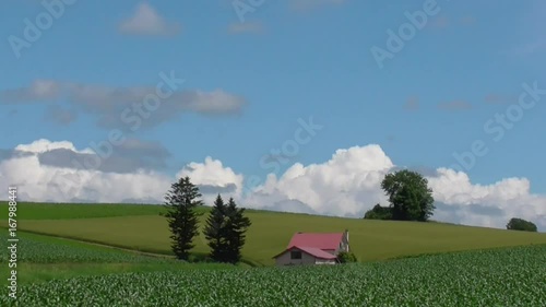 美瑛のパッチワークの丘　ローアングル遠景