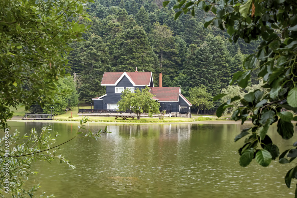 Obraz premium Türkiye Bolu Gölcük milli parkı 