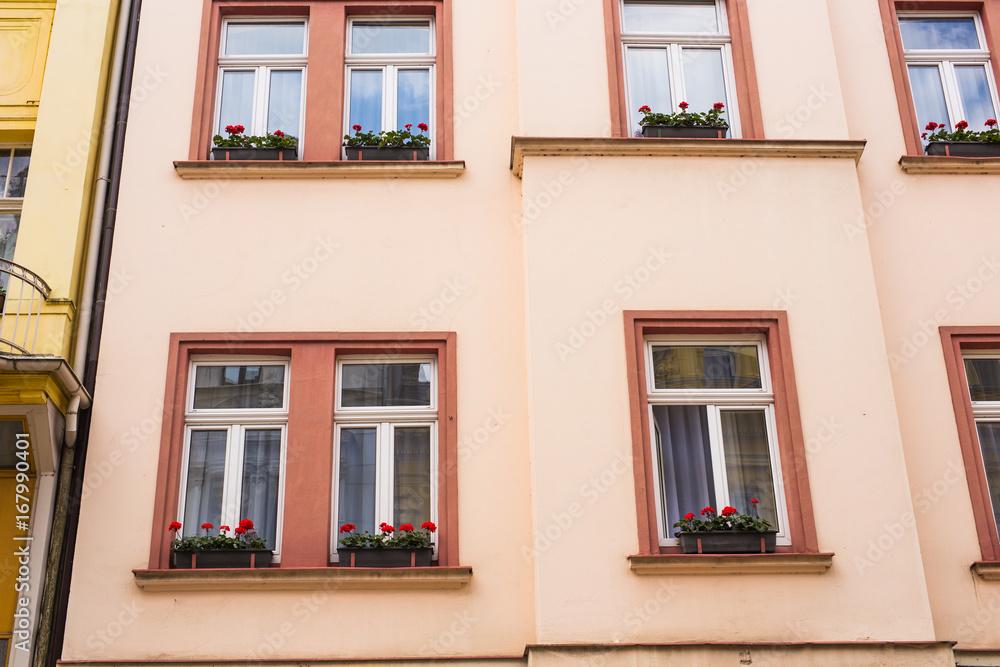windows with flower pots