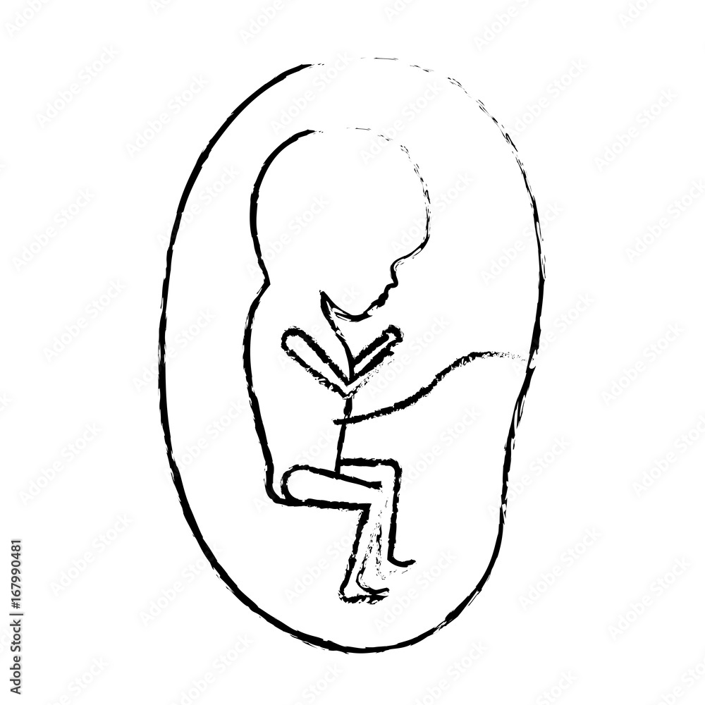 Obraz premium monochrome blurred silhouette of side view fetus human growth in placenta trimestrer