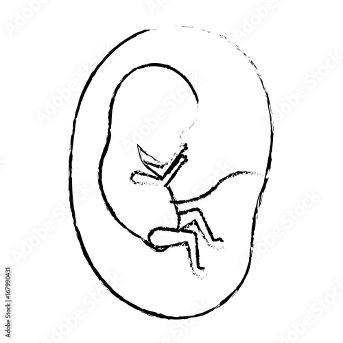monochrome blurred silhouette of side view fetus human growth in placenta a few weeks