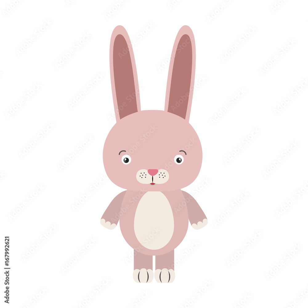 white background with colorful caricature cute rabbit animal white background with colorful caricature cute rabbit animal