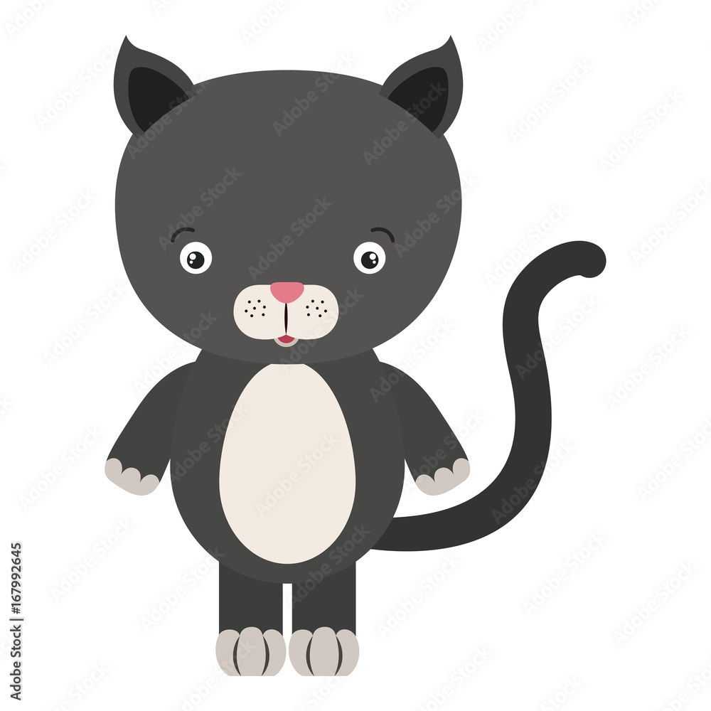 white background with colorful caricature cute cat animal