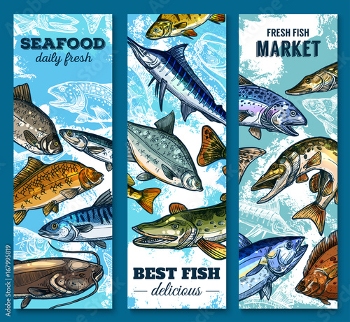 Fresh seafood and fish market sketch banner set