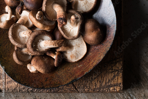 Shiitake Mushrooms on a Plate photo