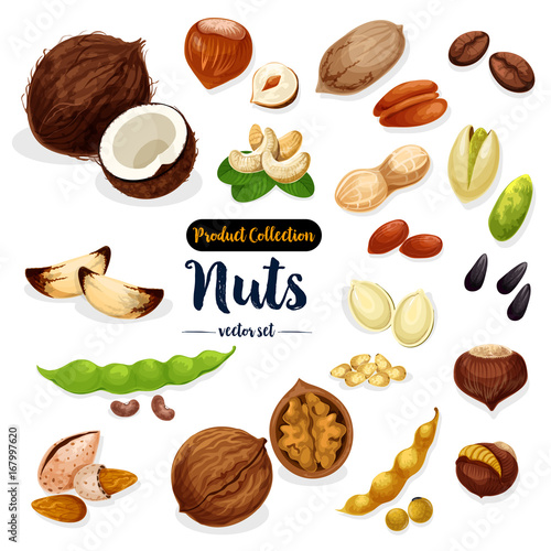 Nuts, seed, bean cartoon icon set for food design