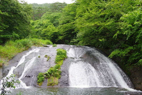緑の中の釜淵の滝、前景