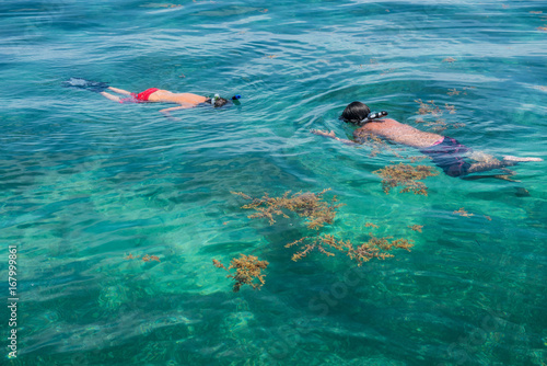 Two boy snorkeling on clear green waters on a coral reef photo