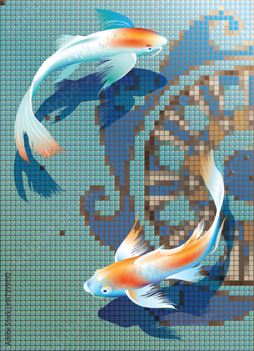 Couple of koi carp