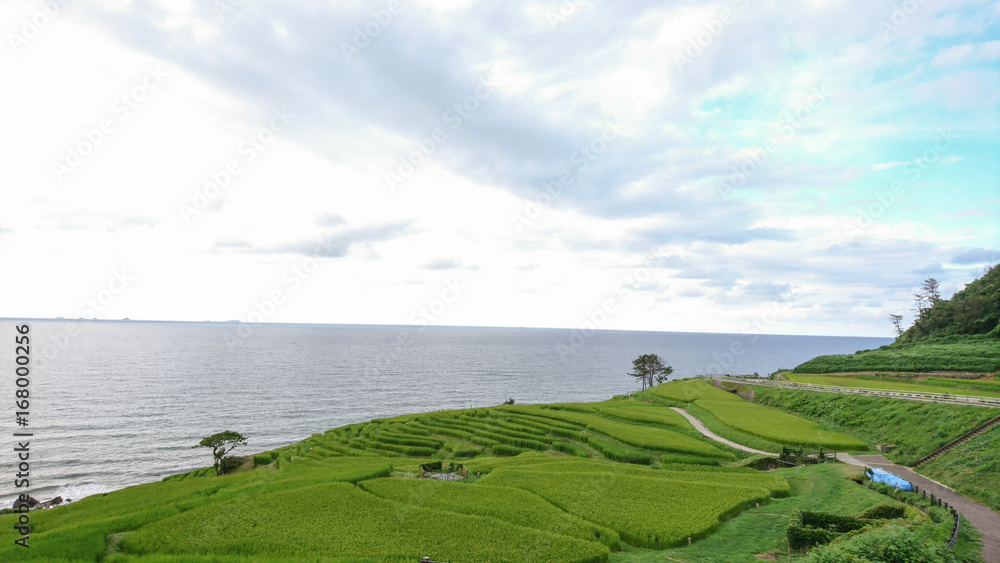 Obraz premium 白米千枚田の棚田