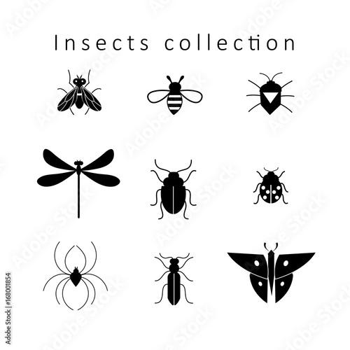 Vector set of different insects © tanor27