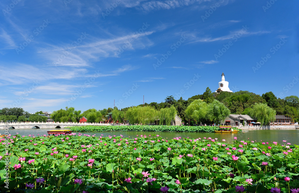 Beihai park scenery in summer in Beijing,China. Beihai park scenery in summer in Beijing,China.