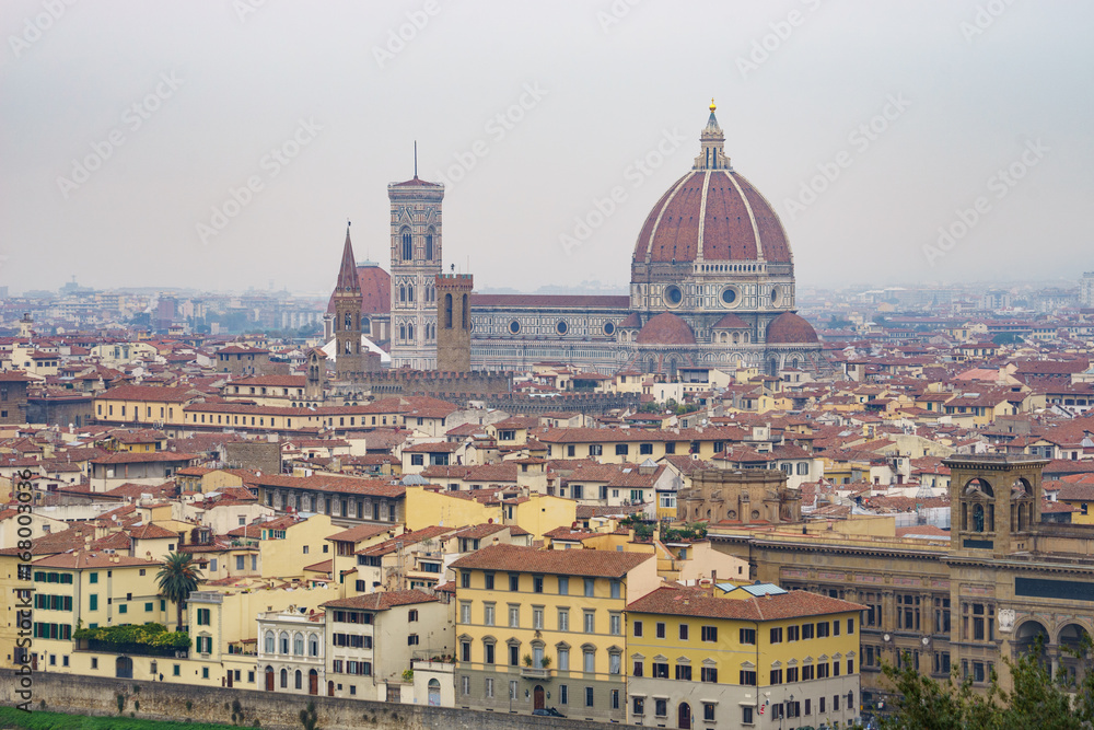 View of Florence city
