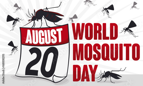 Mosquitoes Swarm and Loose-Leaf Calendar for World Mosquito Day, Vector Illustration
