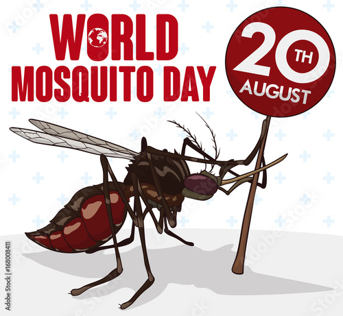 Mosquito Holding a Sign with Date for World Mosquito Day, Vector Illustration