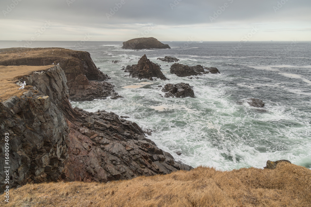 Rapids and Cliffside Newfoundland Rapids and Cliffside Newfoundland