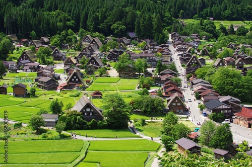 Shirakawago in Gifu Japan, Gassho-Zukuri Village　夏の白川郷　合掌造り集落