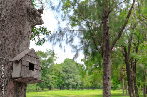 A bird house or bird box in summer with natural green leaves background