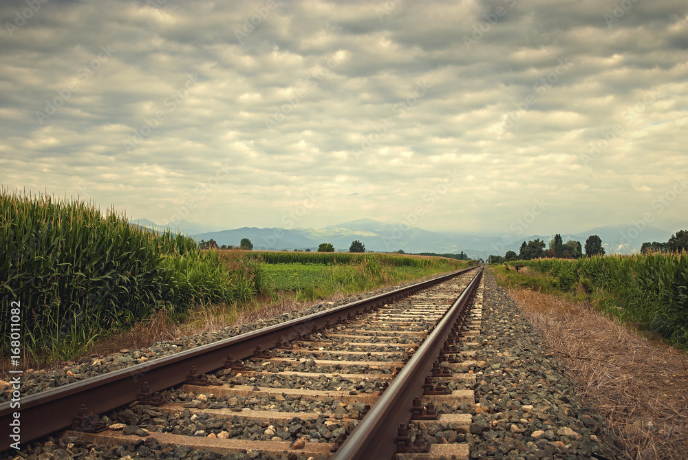 View on train tracks between corn fields on a cloudy day View on train tracks between corn fields on a cloudy day
