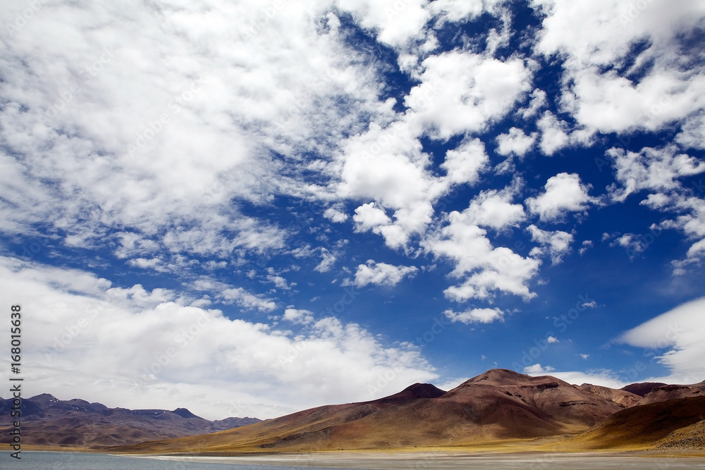 Fototapeta premium Miscanti Lagoon, Chile