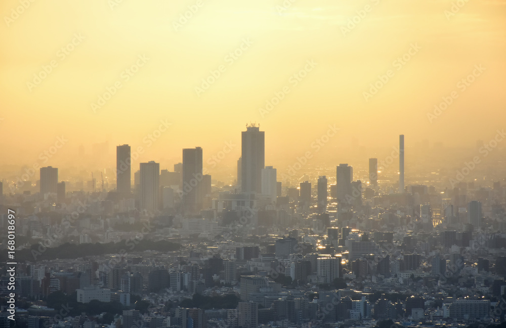 幻想的な光景・日本の東京都市風景（夕日に照らされ、美しく輝く街並みと池袋の超高層ビル群）