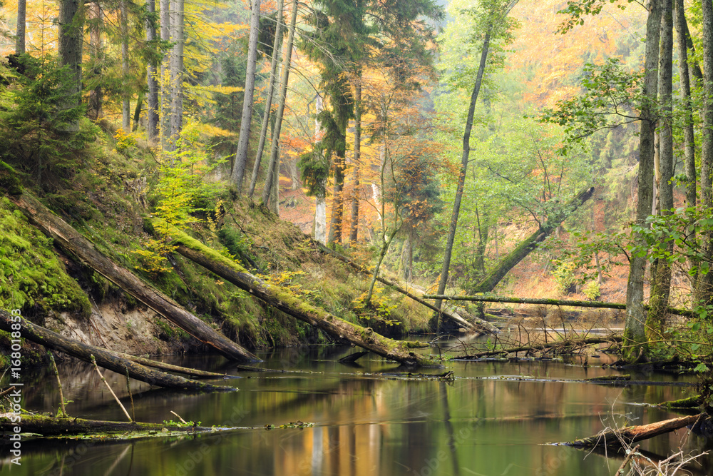 Ταπετσαρία Brda River./ Pomerania, Poland