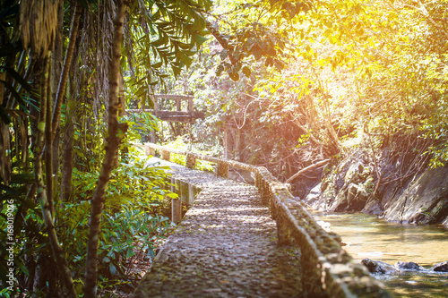 Walkway in  waterfall.selective focus. photo